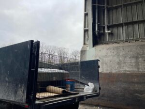 vBenefits of hiring a professional junk removal service – One Ten Junk Removing